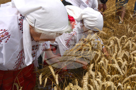 Село Борисово - Жътвена кампания - зажънване - ритуал