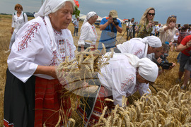 Село Борисово - Жътвена кампания - зажънване - ритуал