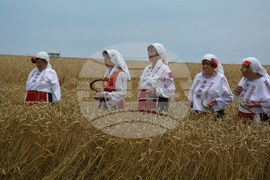 Село Борисово - Жътвена кампания - зажънване - ритуал