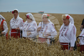Село Борисово - Жътвена кампания - зажънване - ритуал