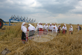 Село Борисово - Жътвена кампания - зажънване - ритуал