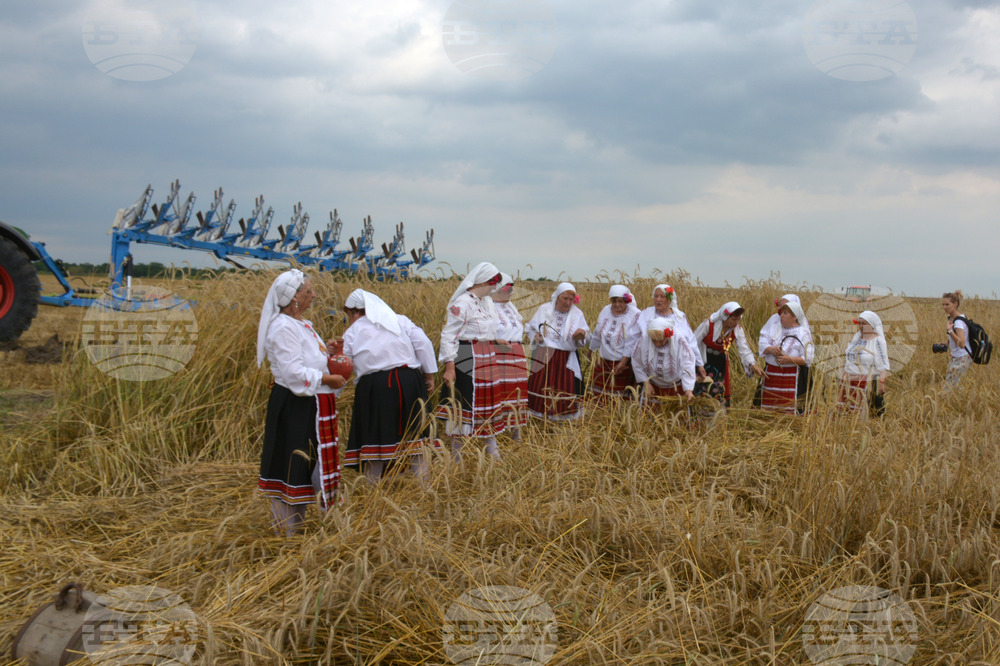 Село Борисово - Жътвена кампания - зажънване - ритуал
