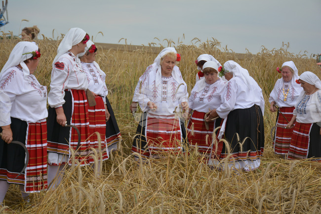 Село Борисово - Жътвена кампания