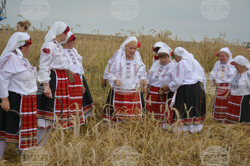 Село Борисово - Жътвена кампания - зажънване - ритуал