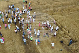 Село Борисово - Жътвена кампания - зажънване - ритуал