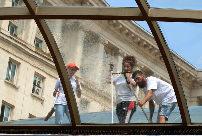 Зона “Ларго” - стъклени куполи - почистване