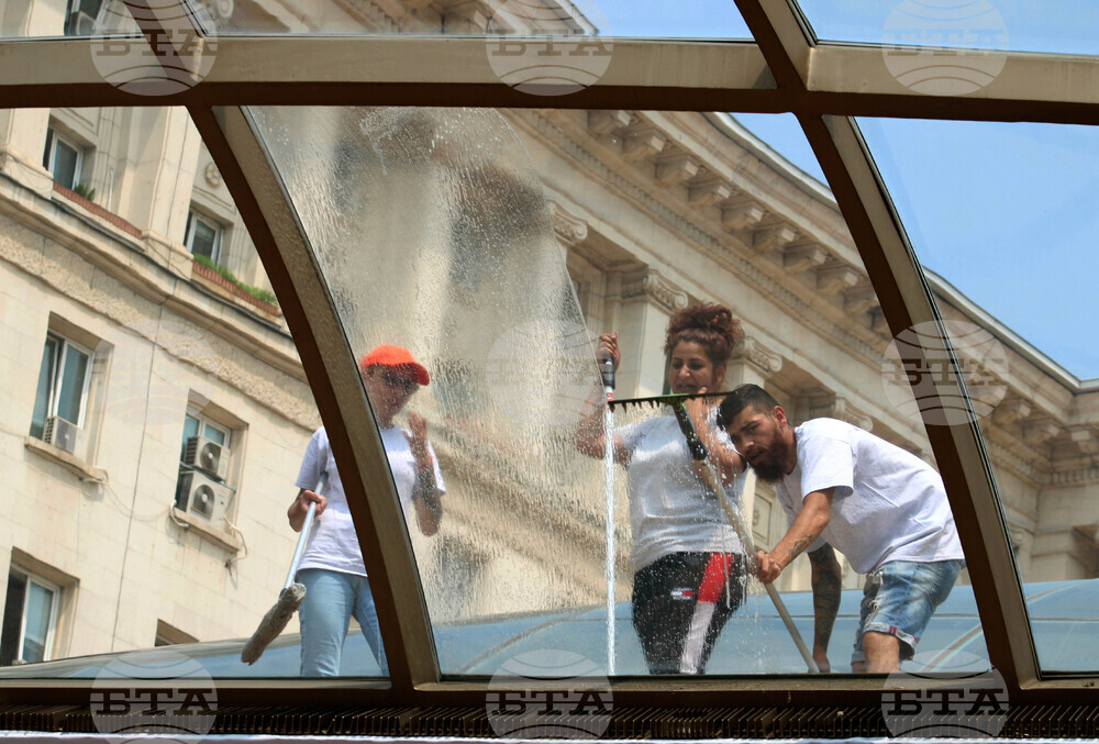 Зона “Ларго” - стъклени куполи - почистване