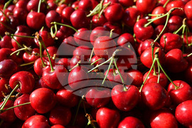 Село Подайва - череши