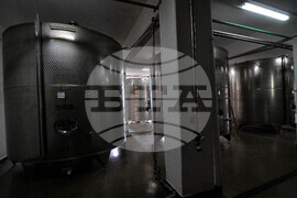 Поморие - Черноморско злато -Яне Сюко - посещение