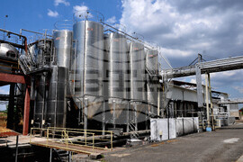 Поморие - Черноморско злато -Яне Сюко - посещение