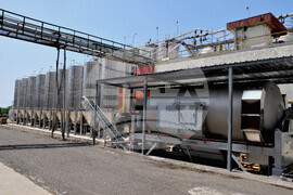 Поморие - Черноморско злато -Яне Сюко - посещение