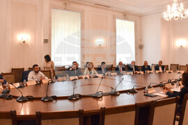 Парламент - Комисия по външна политика