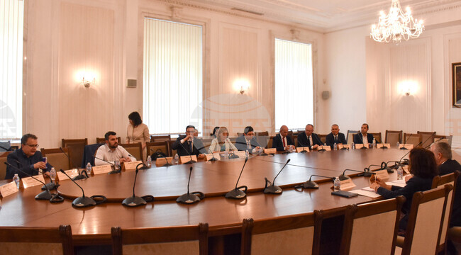 Парламент - Комисия по външна политика