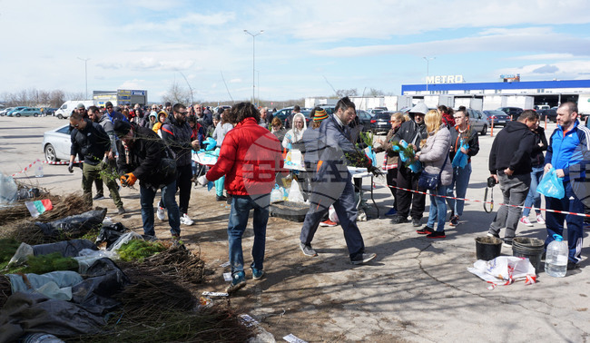 Варна - млади дръвчета - инициатива