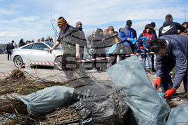 Варна - млади дръвчета - инициатива