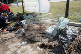 Варна - млади дръвчета - инициатива