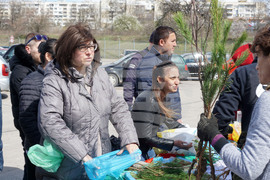 Варна - млади дръвчета - инициатива