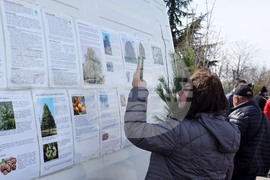 Варна - млади дръвчета - инициатива