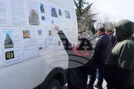 Варна - млади дръвчета - инициатива