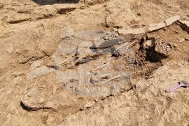 Село Храстово - крепост - разкопки