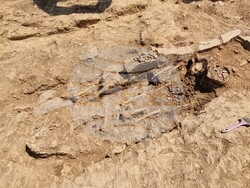 Село Храстово - крепост - разкопки