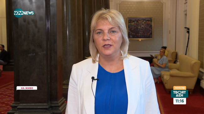 Мая Димитрова, БСП: Ще предложим алтернативен бюджет, този на управляващите е антисоциален