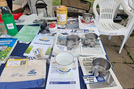 Варна - екология - фестивал