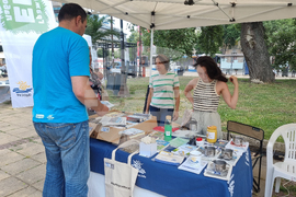 Варна - екология - фестивал