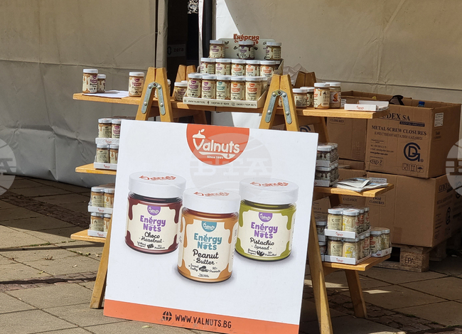 Варна - екология - фестивал