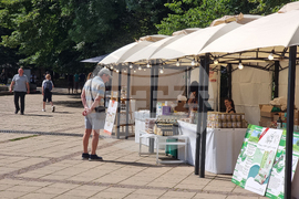 Варна - екология - фестивал