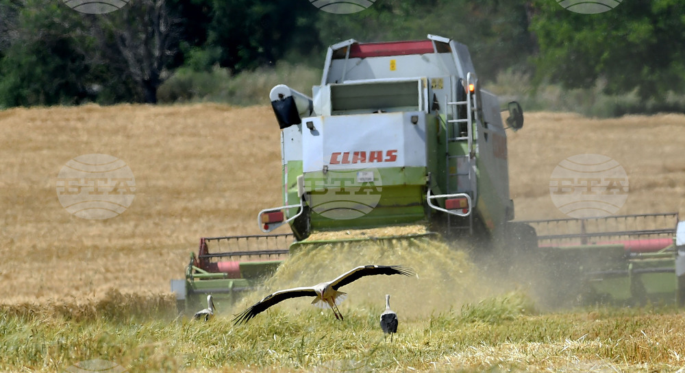 Cabinet Adopts Annual Report on State and Development of Agriculture for 2025