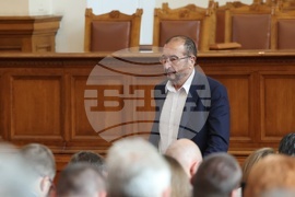 Парламент- заседание - Бранимир Балачев