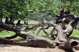 Варна - Морска градина