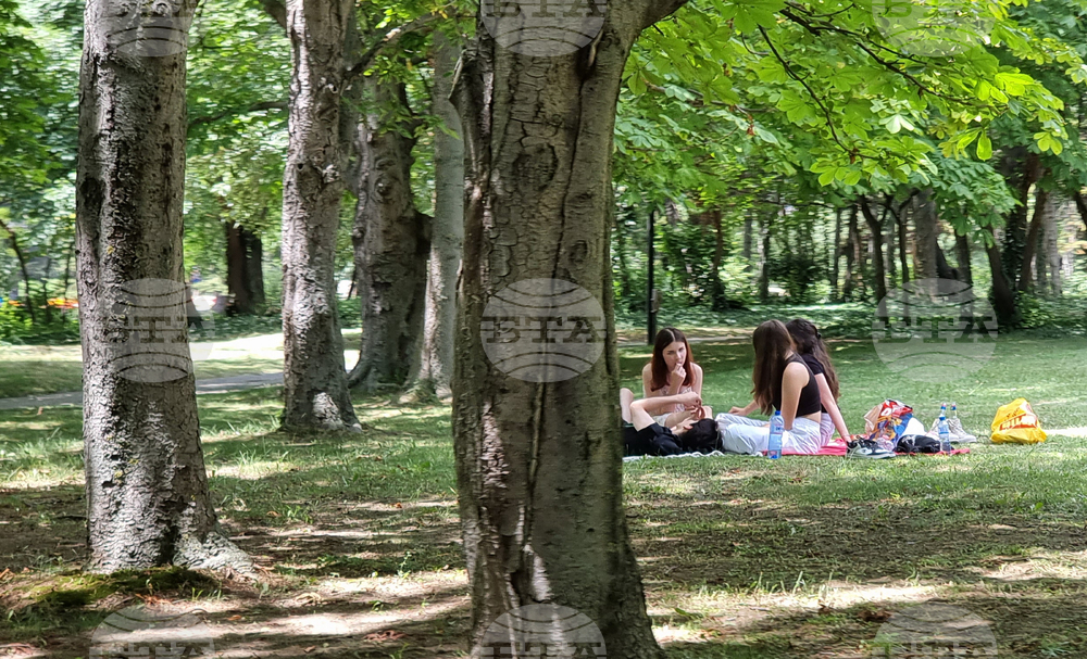 Варна - Морска градина