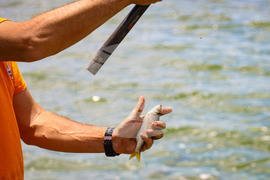 Бургас - състезание по спортен риболов