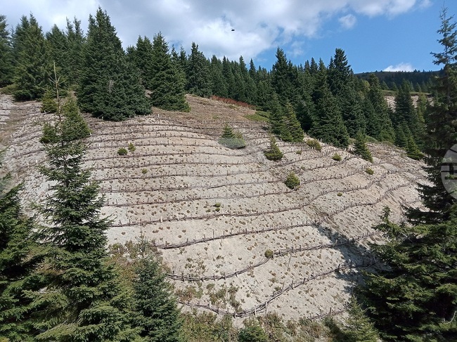 Почистват пешеходни маршрути в Национален парк "Централен Балкан", подобни инициативи ще има и на други места