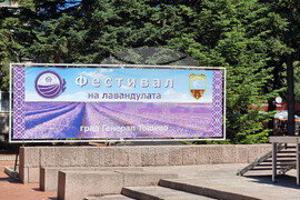 Генерал Тошево - Фестивал на лавандулата