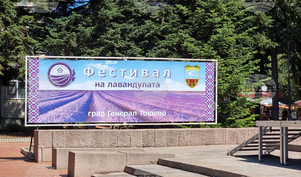 Генерал Тошево - Фестивал на лавандулата
