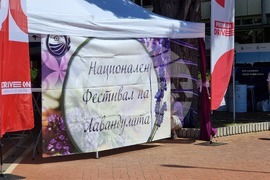 Генерал Тошево - Фестивал на лавандулата