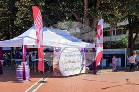 Генерал Тошево - Фестивал на лавандулата