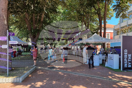 Генерал Тошево - Фестивал на лавандулата