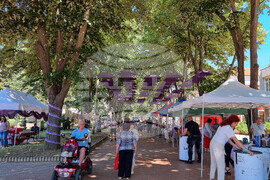 Генерал Тошево - Фестивал на лавандулата