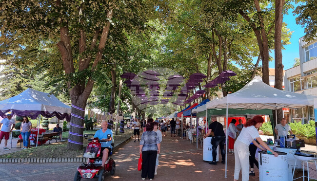 Генерал Тошево - Фестивал на лавандулата