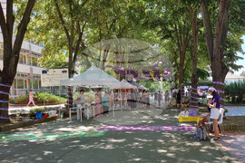 Генерал Тошево - Фестивал на лавандулата