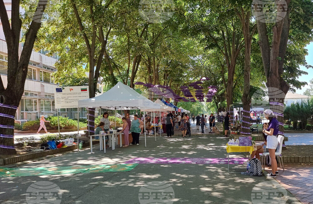 Генерал Тошево - Фестивал на лавандулата