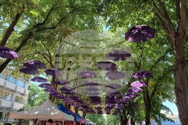 Генерал Тошево - Фестивал на лавандулата