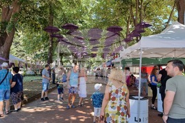 Генерал Тошево - Фестивал на лавандулата