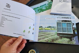 Генерал Тошево - Фестивал на лавандулата