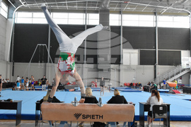 Държавно първенство по спортна гимнастика - Божидар Златанов