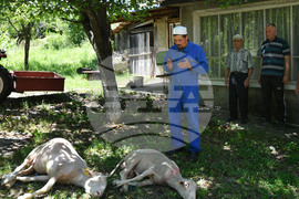 Село Йонково - Курбан байрам